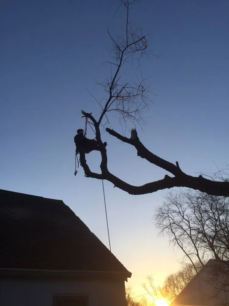 Trusted outdoor landscaping near you across Perkasie, PA - Menzen & Company