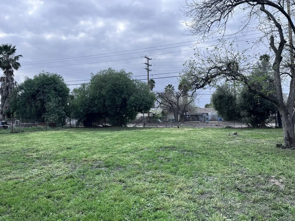 Top-rated yard cleanup service in Highland, CA - Meños Landscaping