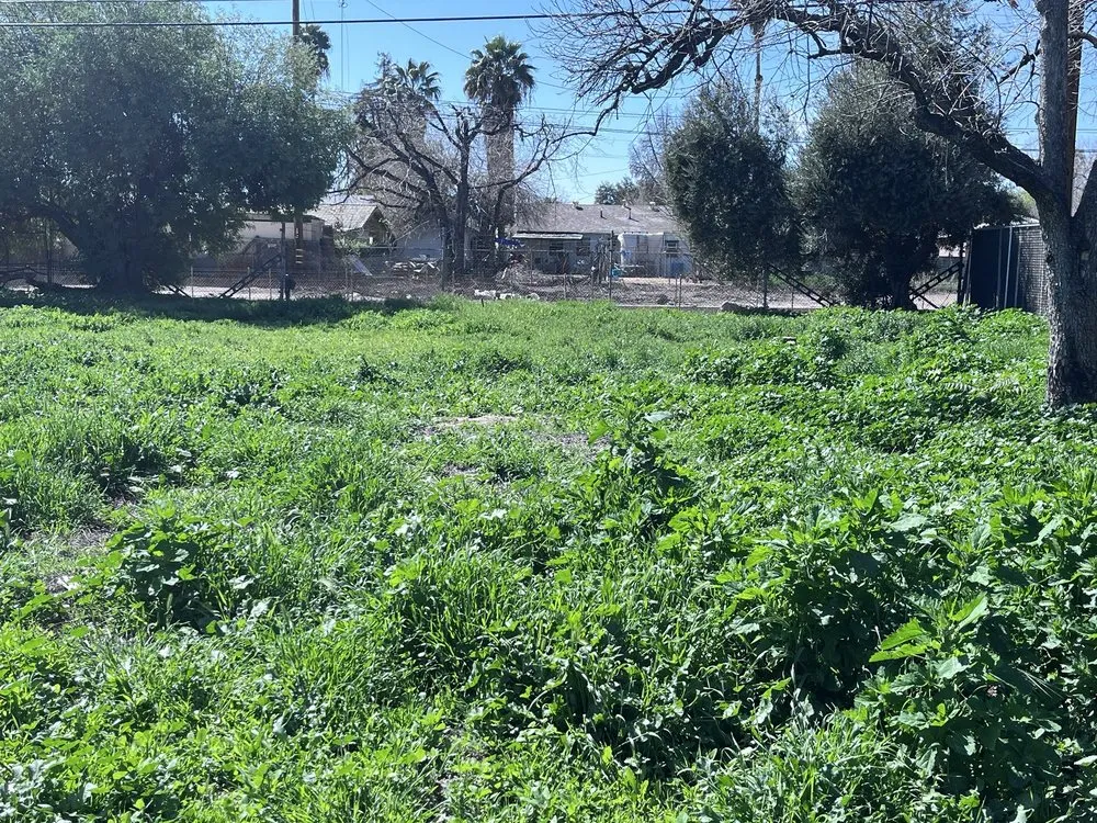 Affordable garden landscaping experts serving Highland, CA - Meños Landscaping