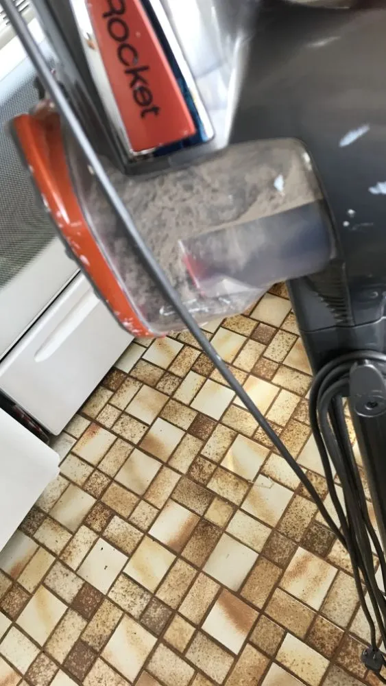 Custom yard cleanup service in Tillamook, OR - Mer-cleaned by the maid