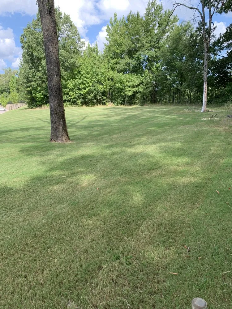 Reliable garden landscaping experts serving Collierville, TN - Mer Services