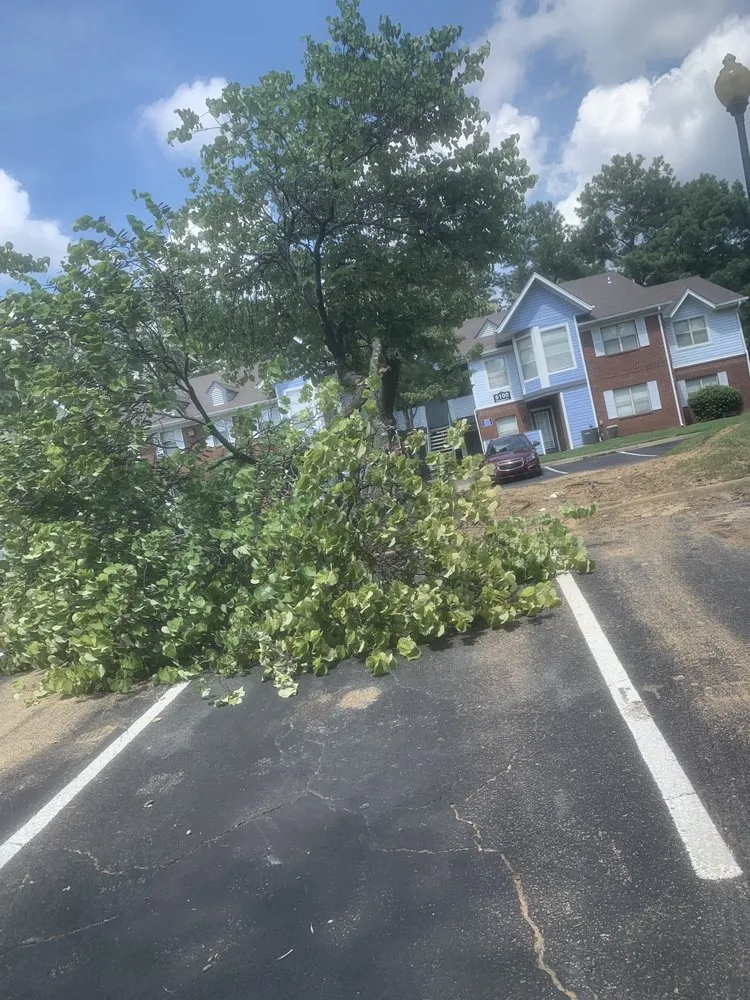 Custom landscaping services in Collierville, TN by Mer Services