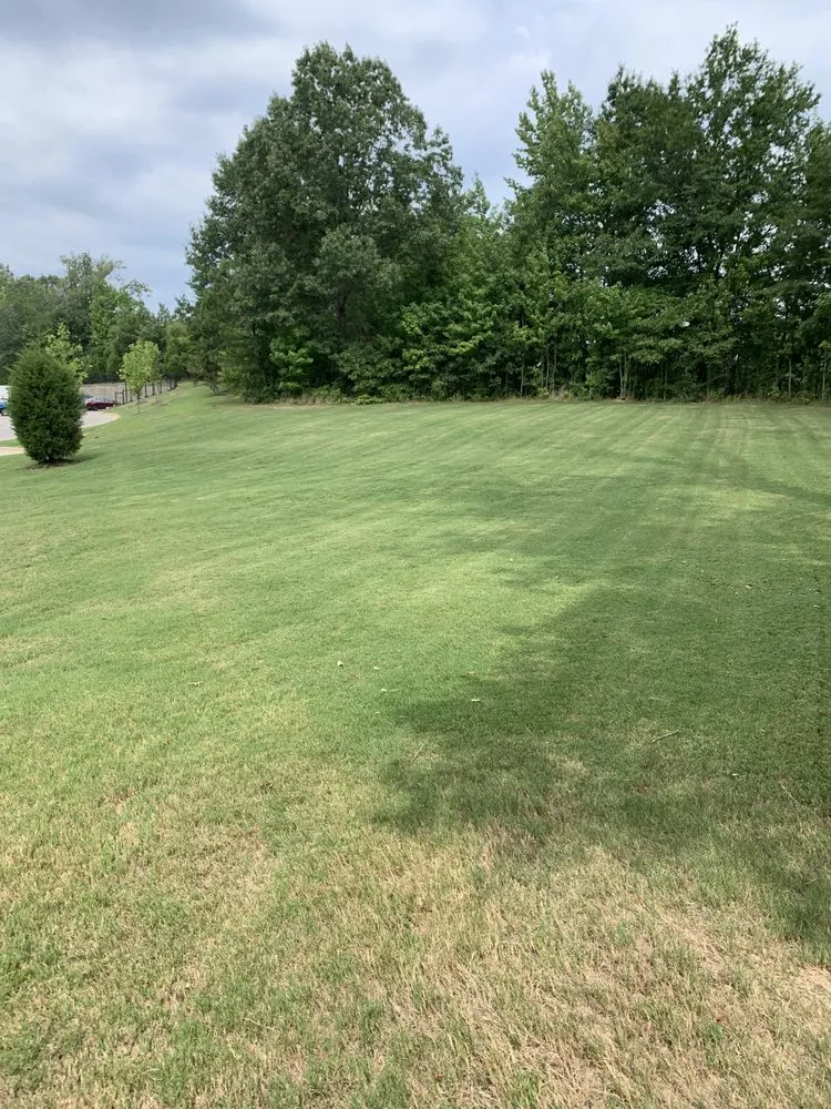 Trusted yard maintenance in Collierville, TN by Mer Services