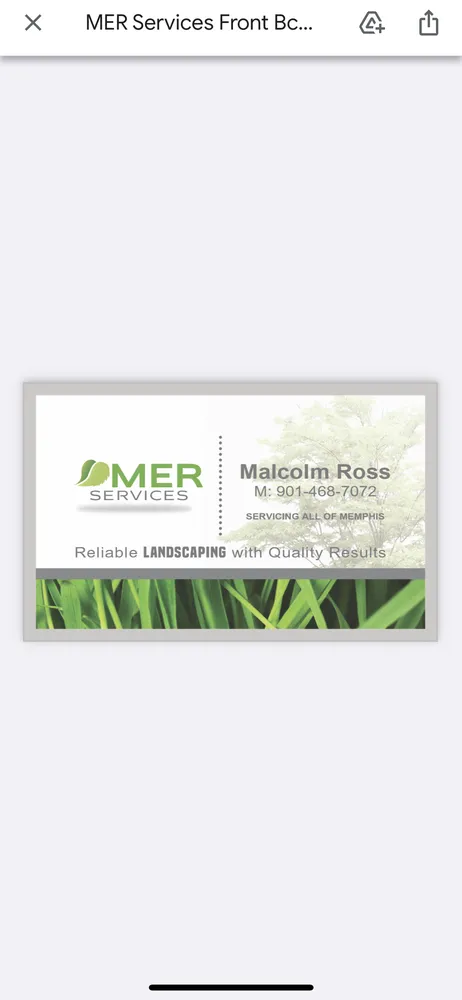 Reliable yard maintenance for year-round maintenance across Collierville, TN - Mer Services