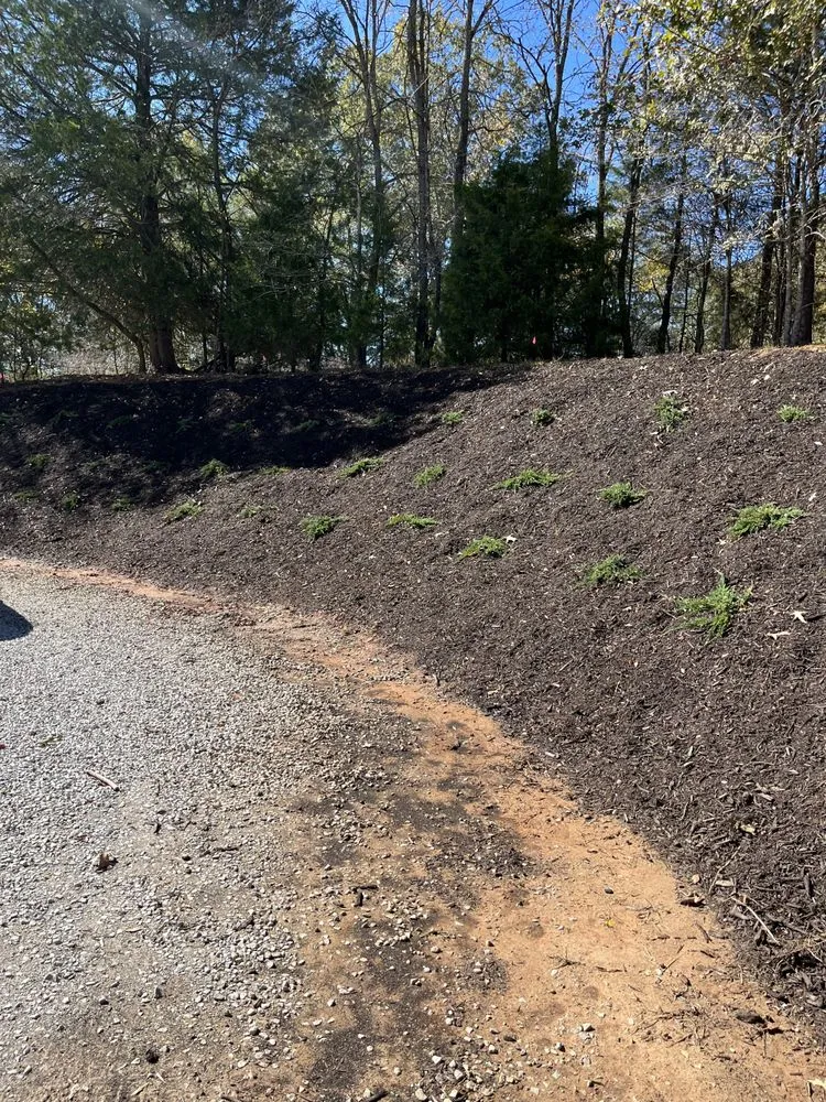 Trusted lawn mowing service for outdoor upgrades in Collierville, TN by Mer Services