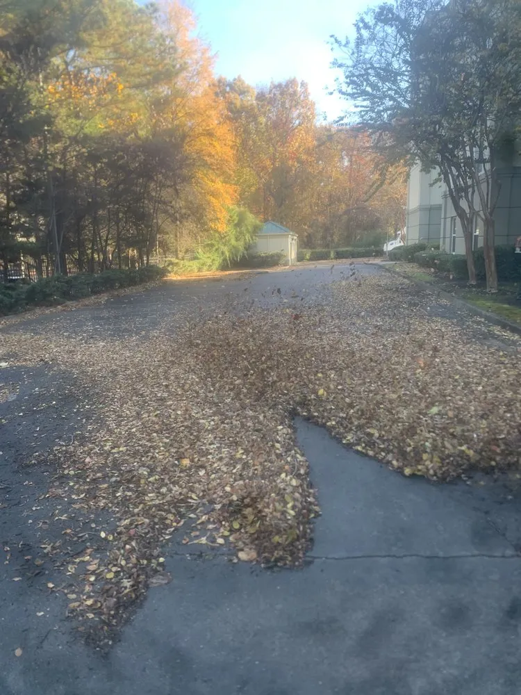 Professional residential landscaping near you across Collierville, TN - Mer Services