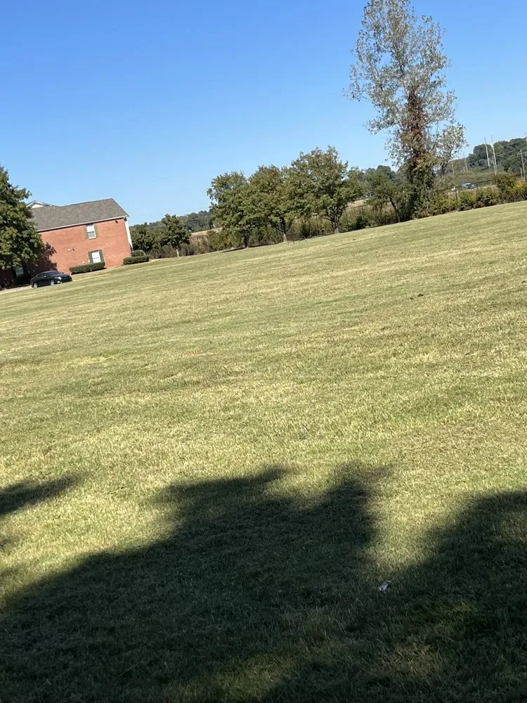 Trusted landscape installation near you across Collierville, TN - Mer Services