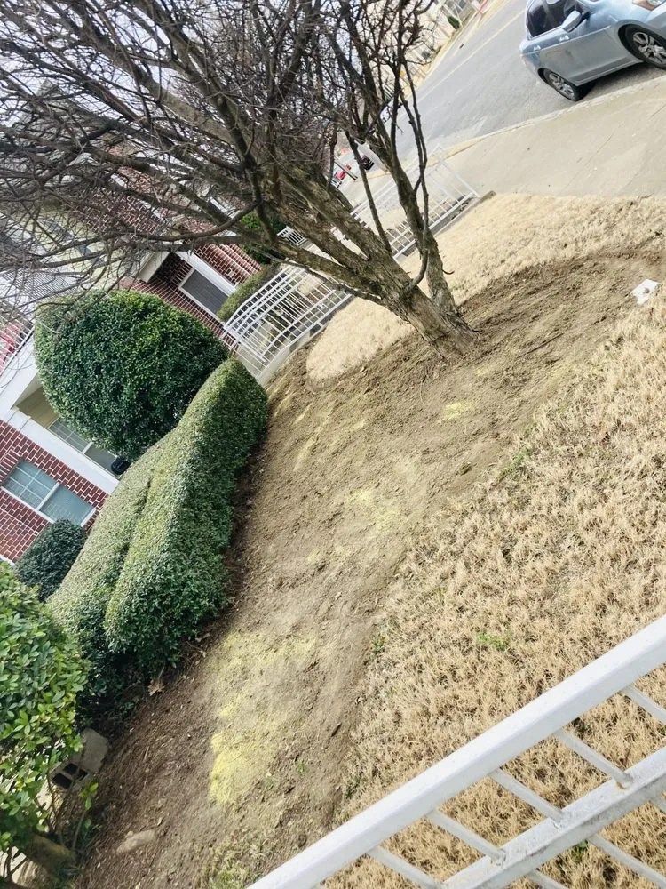 Local residential landscaping with custom design across Collierville, TN - Mer Services