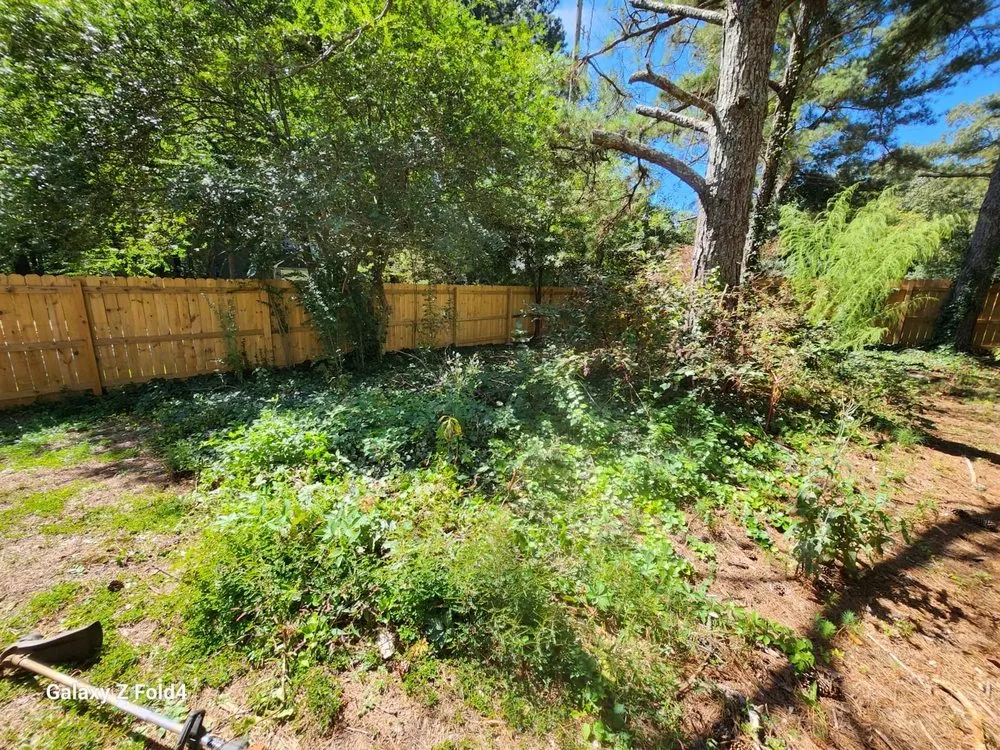 Trusted landscaping services for homes in Gainesville, GA by Meraki Dream Solutions