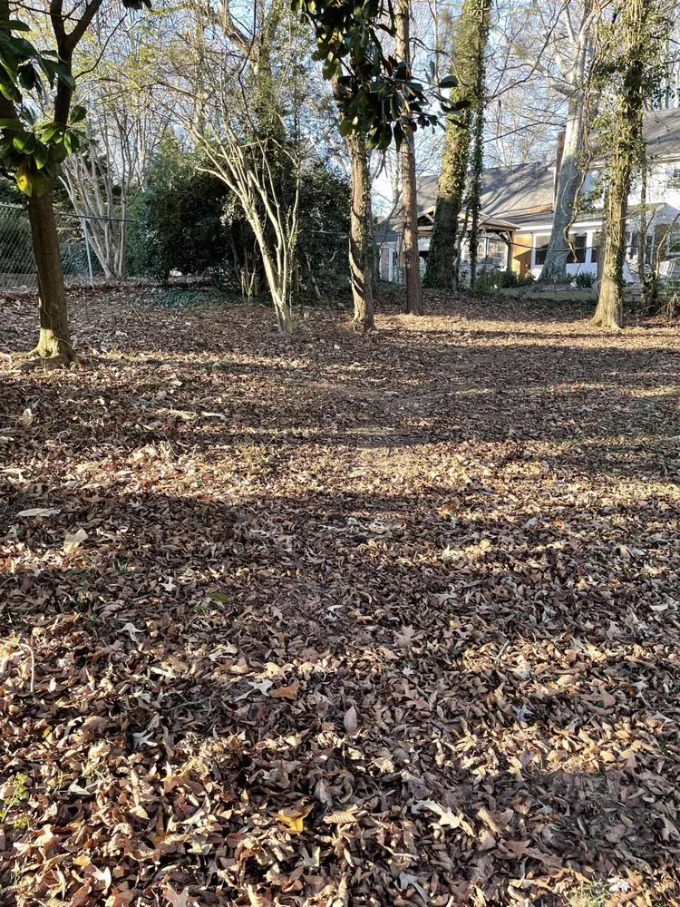 Custom landscape design with custom design in Gainesville, GA by Meraki Dream Solutions