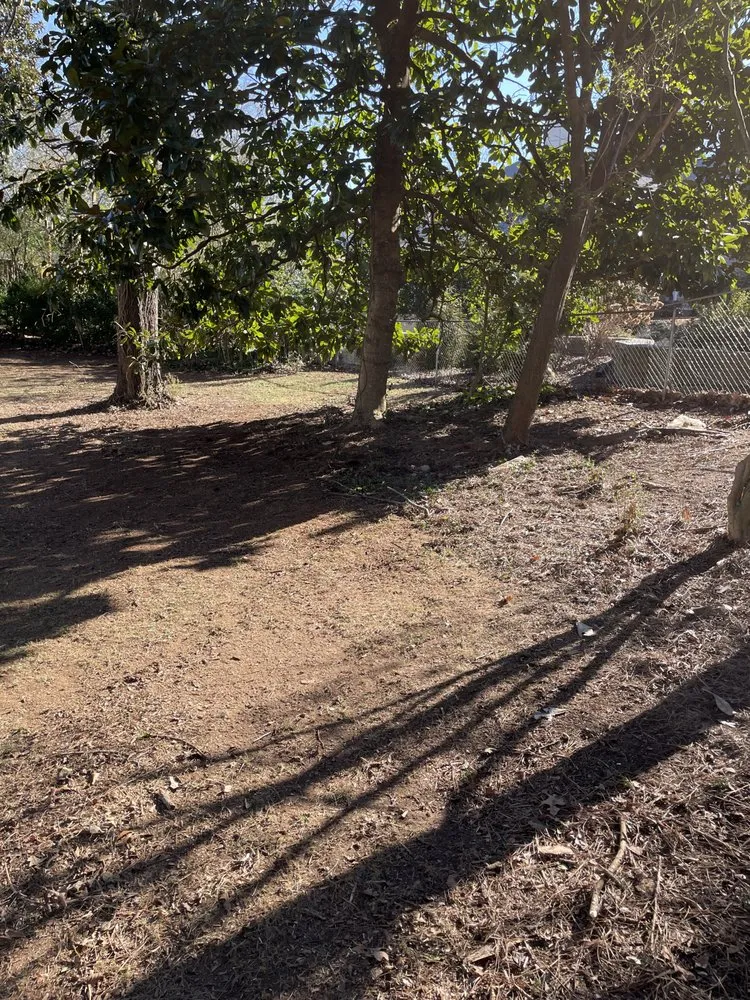 Top-rated residential landscaping near you in Gainesville, GA by Meraki Dream Solutions