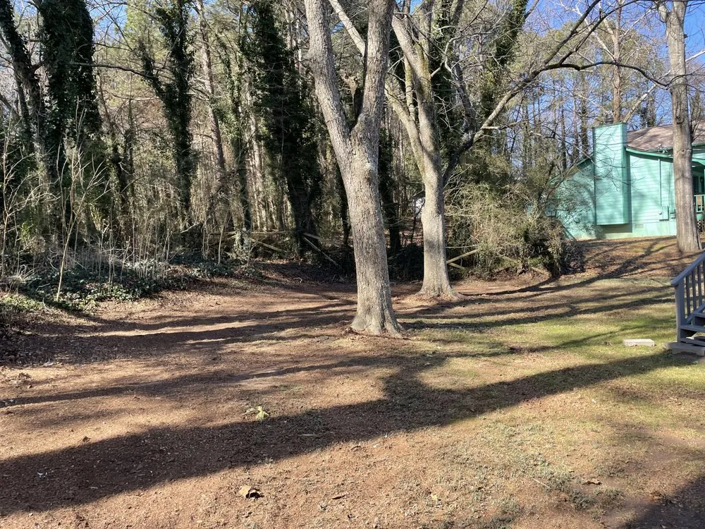 Affordable yard cleanup service for outdoor upgrades across Gainesville, GA - Meraki Dream Solutions