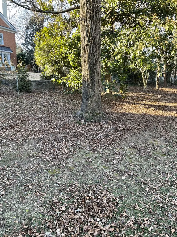 Expert landscape design in Gainesville, GA - Meraki Dream Solutions