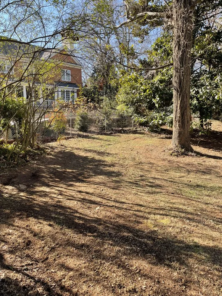 Professional lawn care service for homes in Gainesville, GA by Meraki Dream Solutions