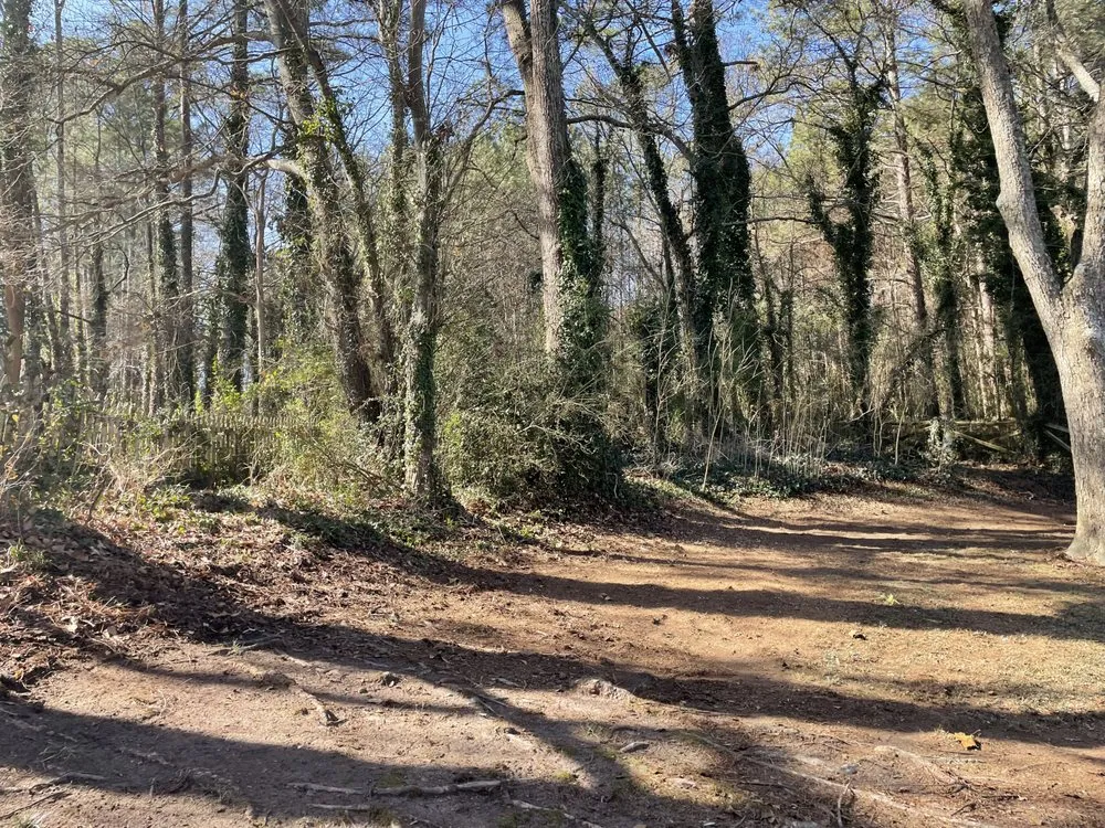 Expert landscape design in Gainesville, GA - Meraki Dream Solutions