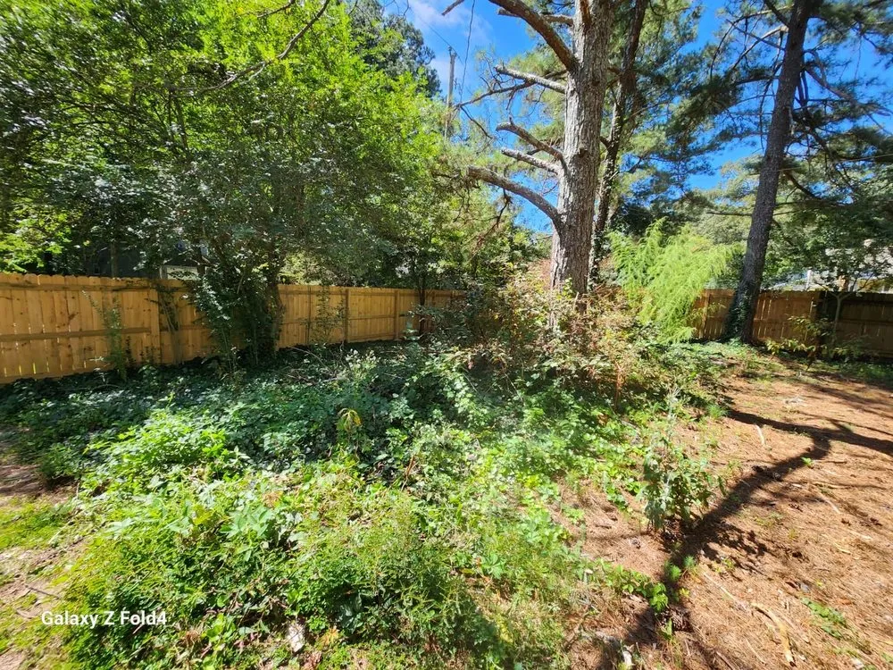 Reliable residential landscaping for beautiful yards in Gainesville, GA by Meraki Dream Solutions