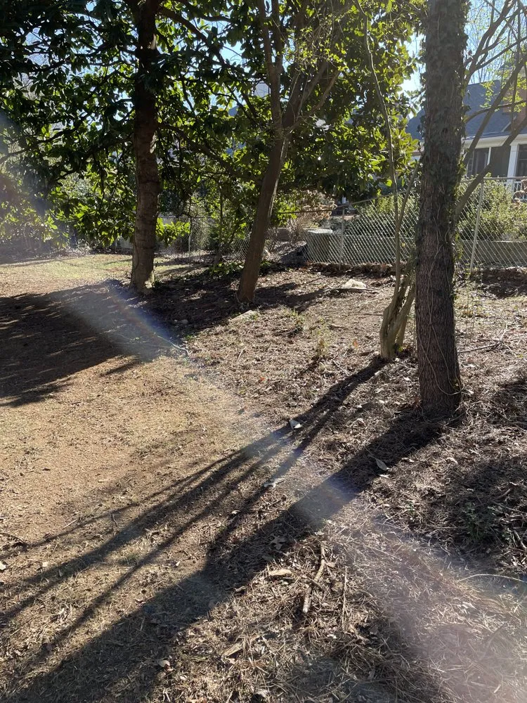 Expert yard cleanup service for outdoor upgrades in Gainesville, GA by Meraki Dream Solutions