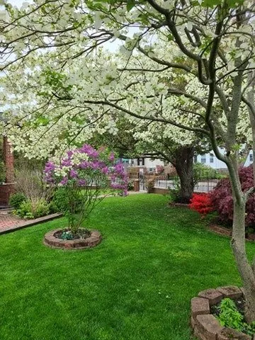 Top-rated yard cleanup service in Arlington, MA - Meraki Garden Services