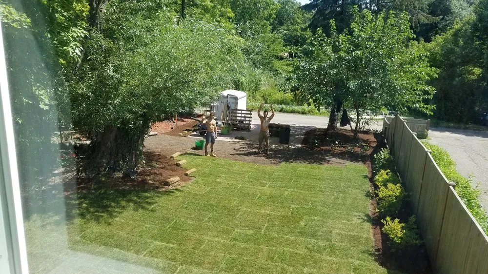 Top-rated landscape installation in Arlington, MA - Meraki Garden Services