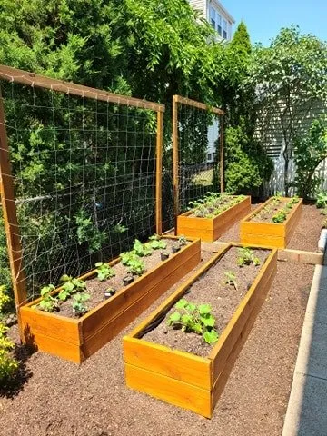 Top-rated yard cleanup service in Arlington, MA - Meraki Garden Services