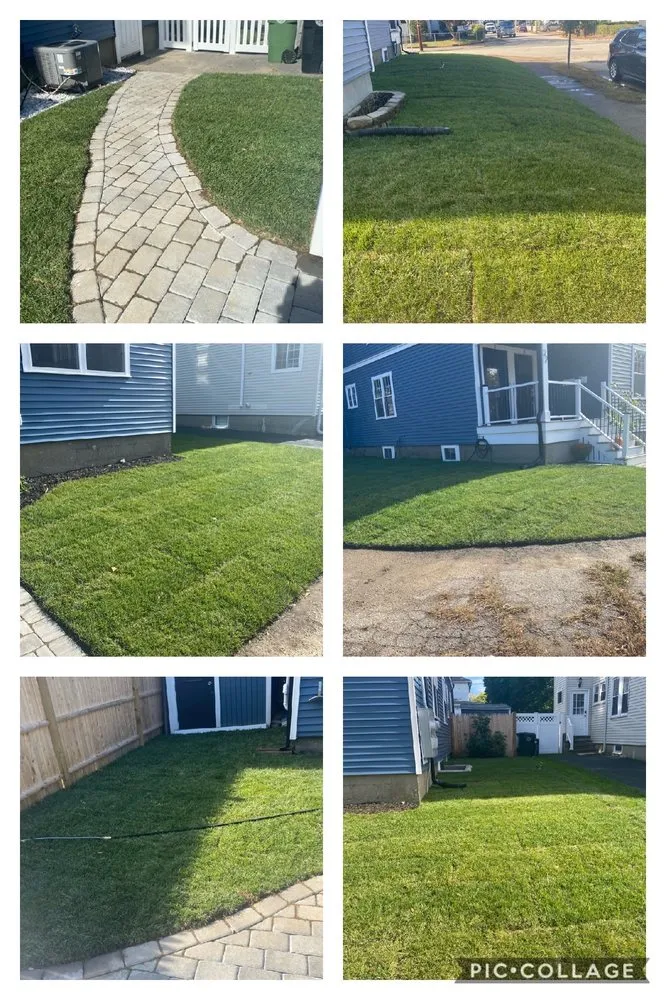 Trusted yard cleanup service for outdoor upgrades in Arlington, MA by Meraki Garden Services