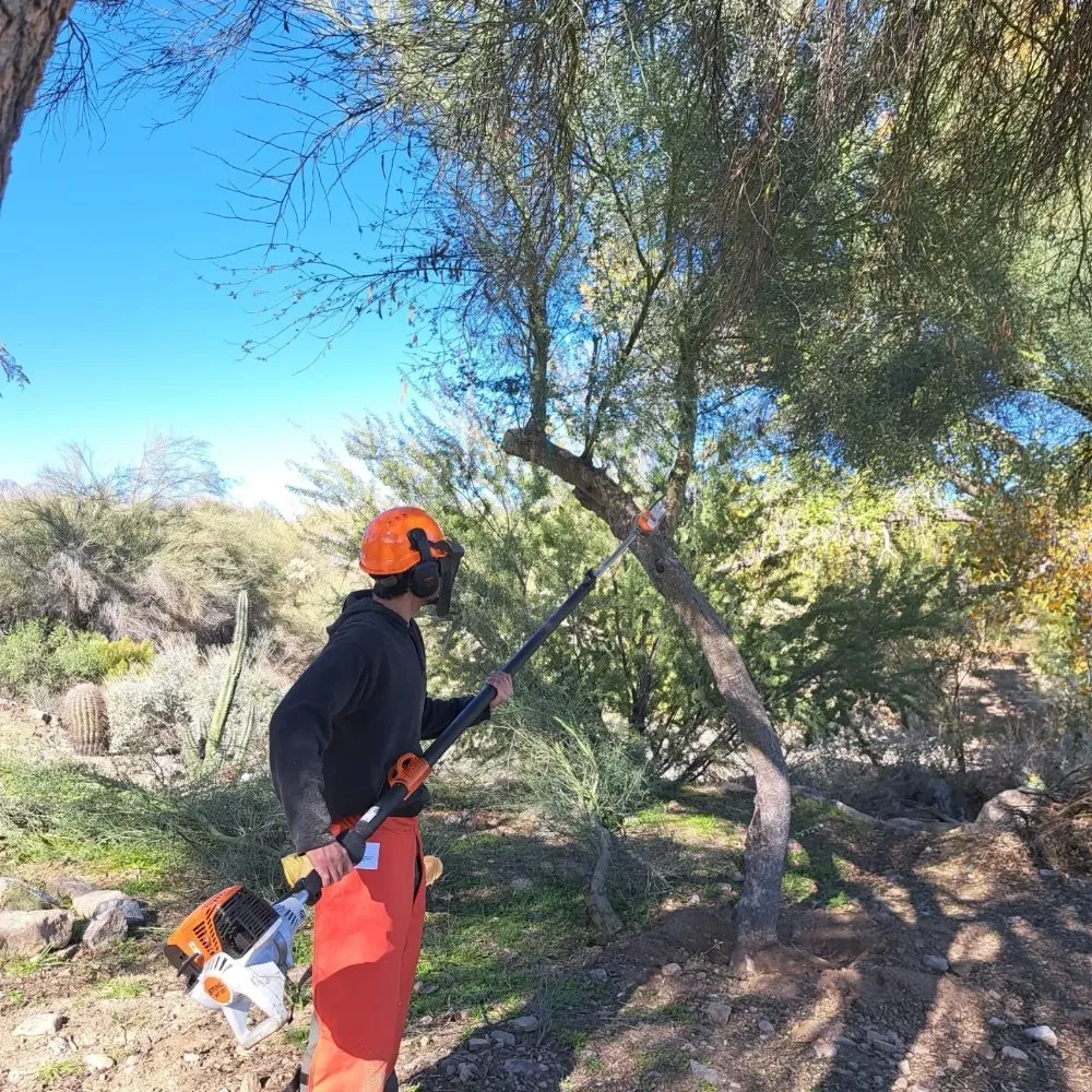 Expert lawn care service experts serving Fountain Hills, AZ - Meraki Landscapes