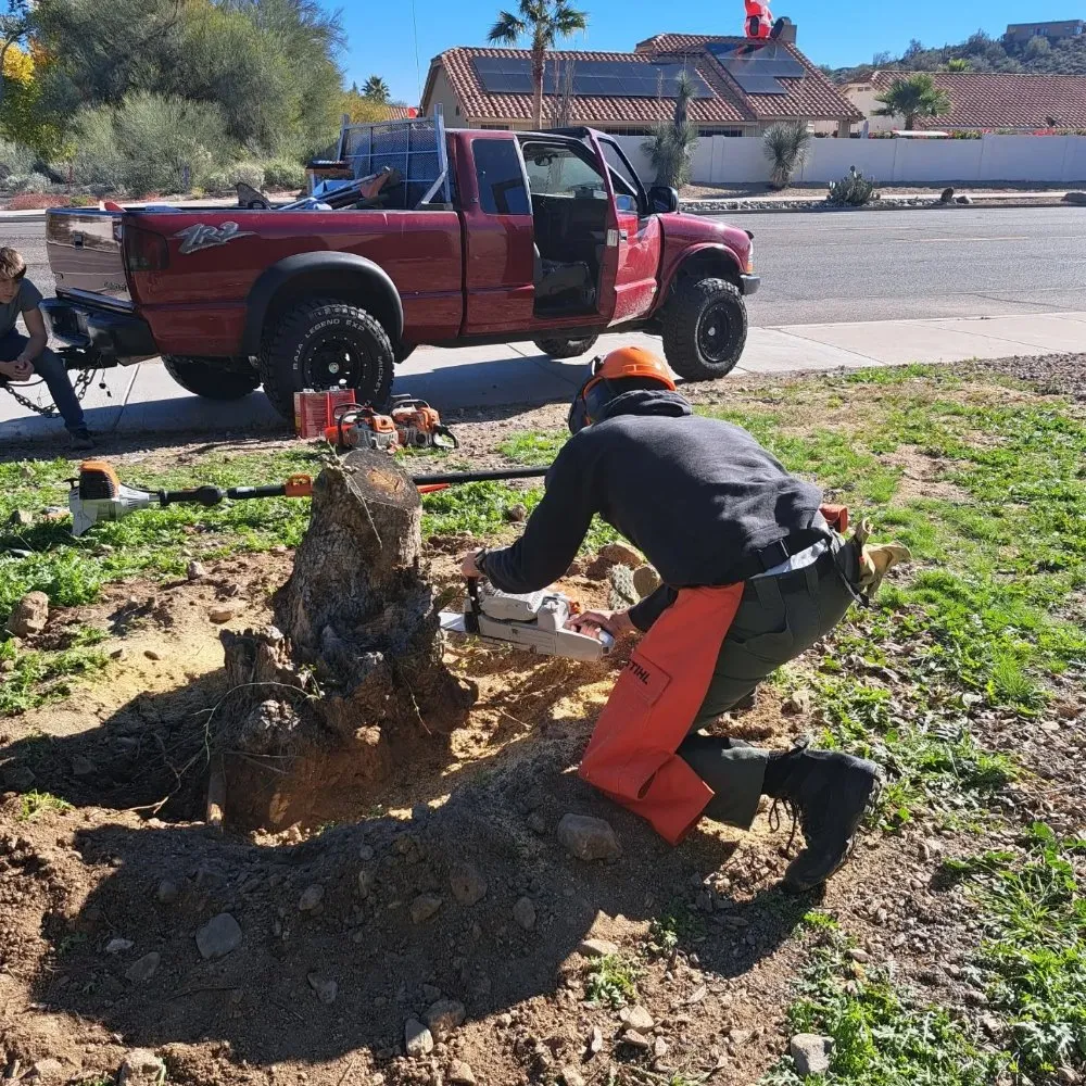 Local lawn care service for homes across Fountain Hills, AZ - Meraki Landscapes
