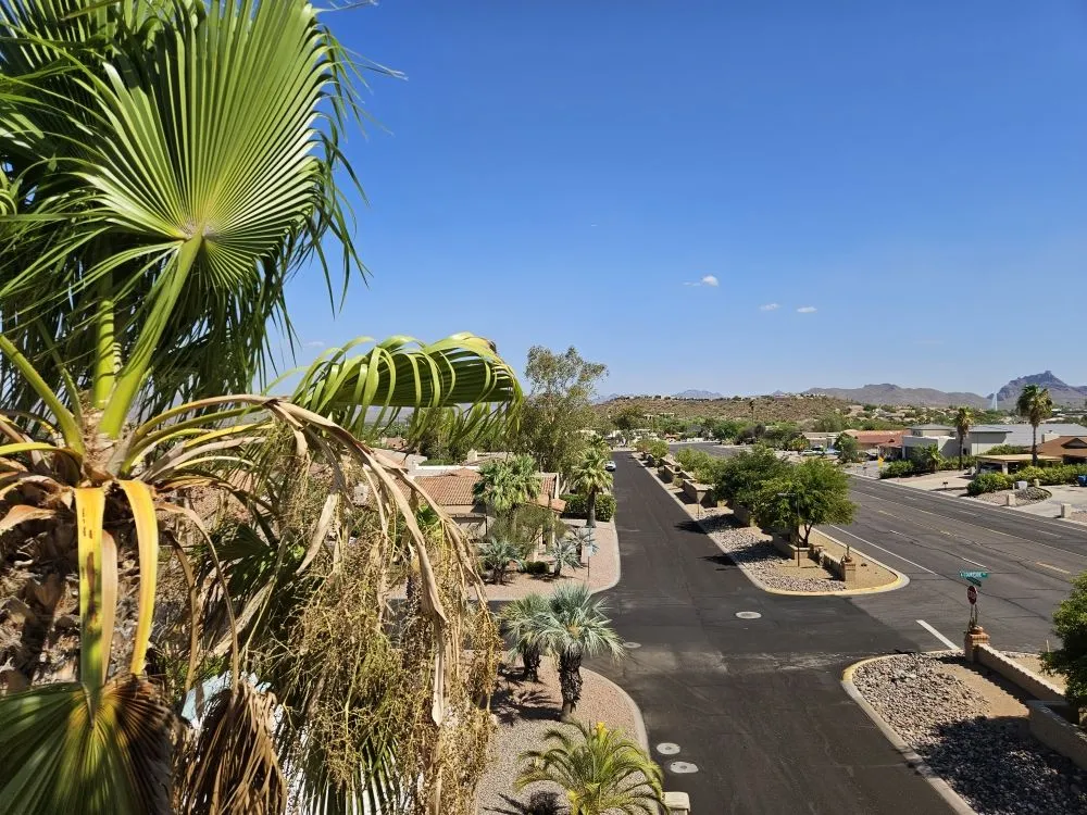 Custom lawn mowing service experts serving Fountain Hills, AZ - Meraki Landscapes