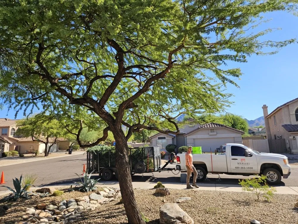 Custom lawn care service experts serving Fountain Hills, AZ - Meraki Landscapes