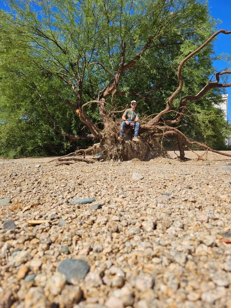 Custom garden landscaping in Fountain Hills, AZ by Meraki Landscapes