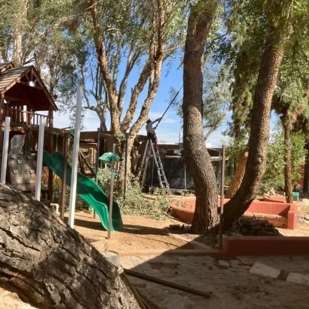 Local garden landscaping for residential properties in Fountain Hills, AZ by Meraki Landscapes