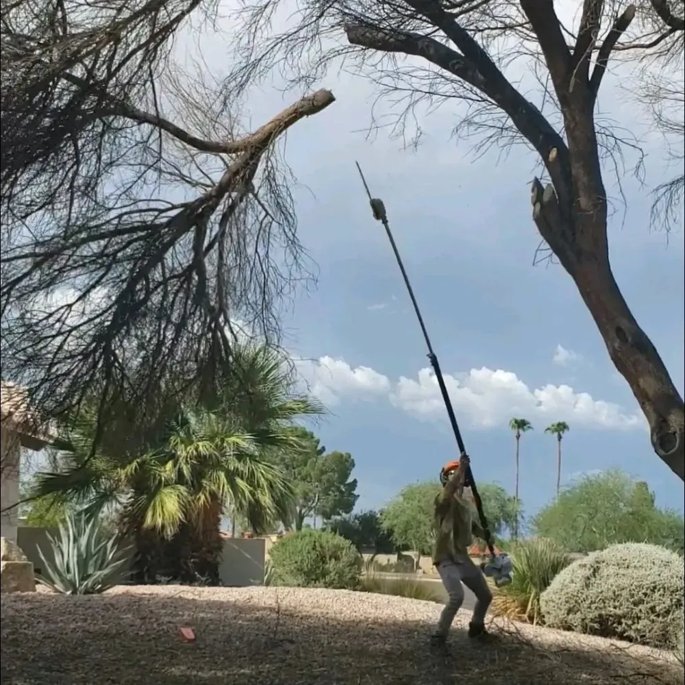 Reliable yard cleanup service experts serving Fountain Hills, AZ - Meraki Landscapes