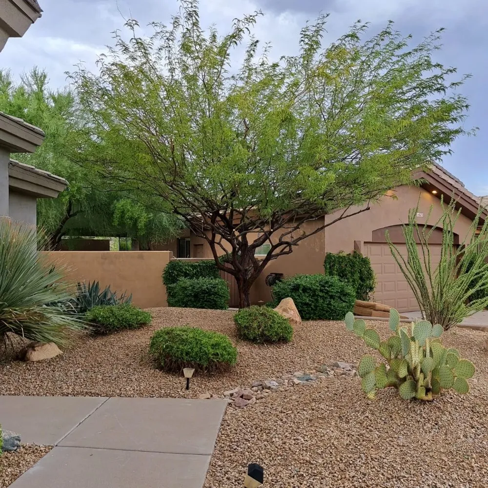 Top-rated residential landscaping in Fountain Hills, AZ by Meraki Landscapes