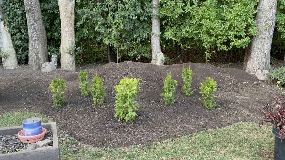 Top-rated outdoor landscaping near you across West Chicago, IL - Meraki Tree Care
