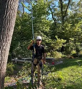 Expert yard maintenance for homes across West Chicago, IL - Meraki Tree Care