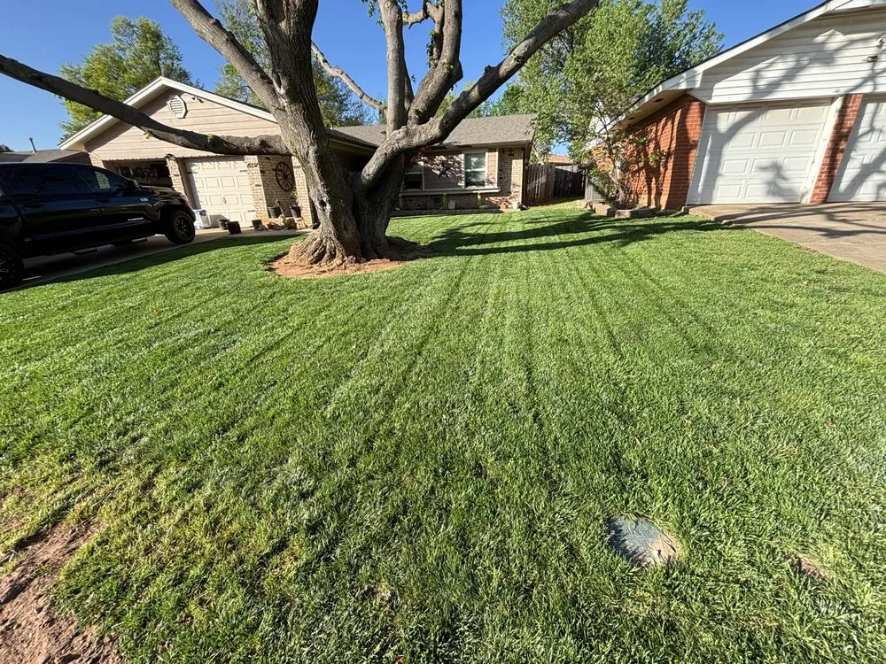 Expert yard cleanup service in Edmond, OK - Meraz Landscaping