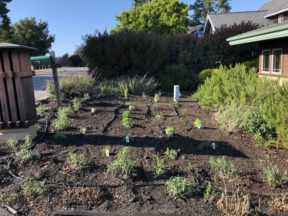 Affordable lawn care service with custom design in Cambria, CA by Mercado Gardening & Hauling