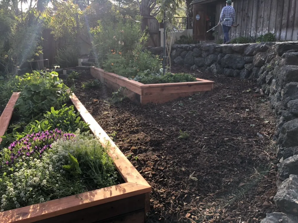 Custom yard maintenance for year-round maintenance across Cambria, CA - Mercado Gardening & Hauling