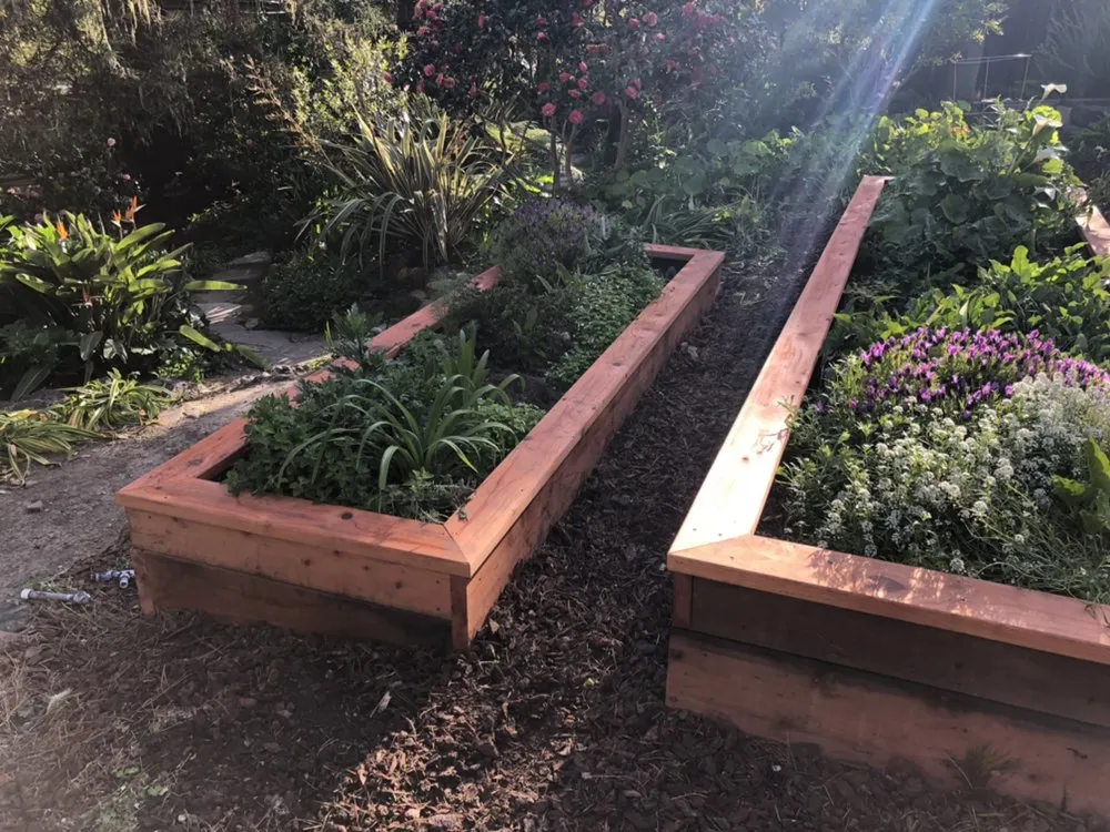 Professional garden landscaping in Cambria, CA - Mercado Gardening & Hauling