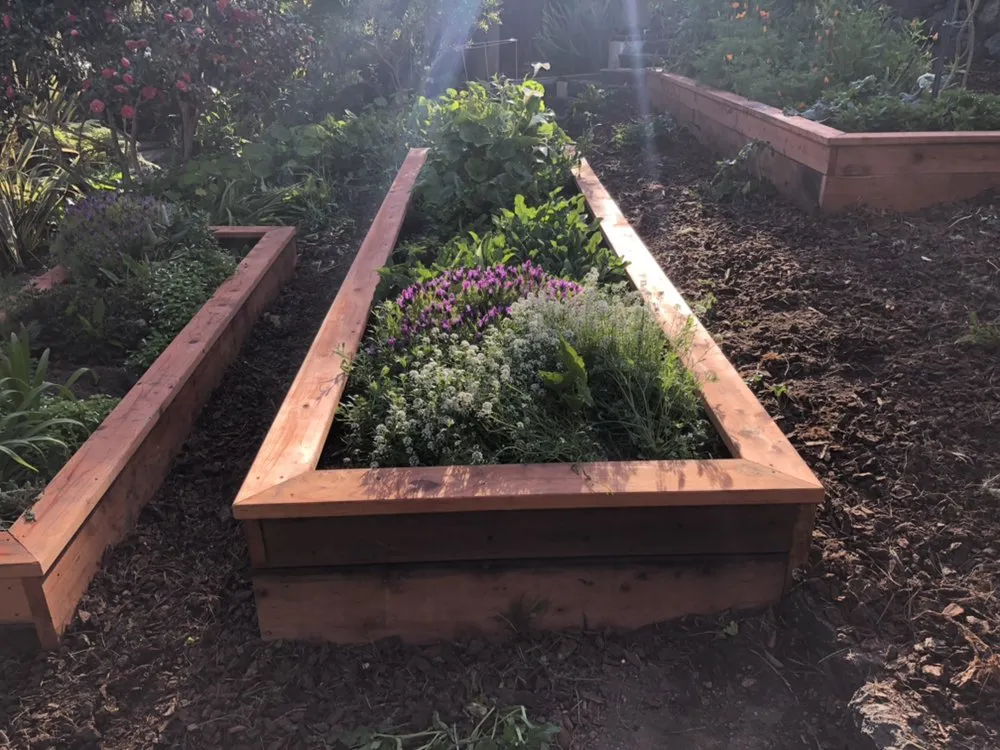 Professional garden landscaping for residential properties across Cambria, CA - Mercado Gardening & Hauling