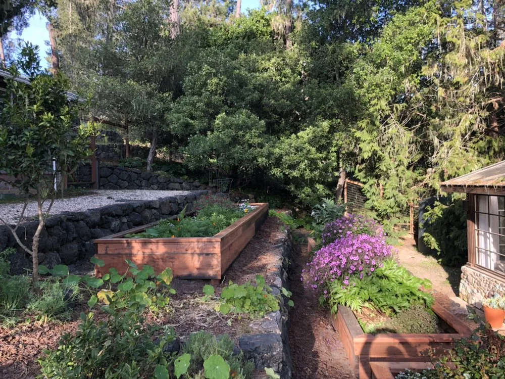 Expert lawn mowing service for beautiful yards across Cambria, CA - Mercado Gardening & Hauling