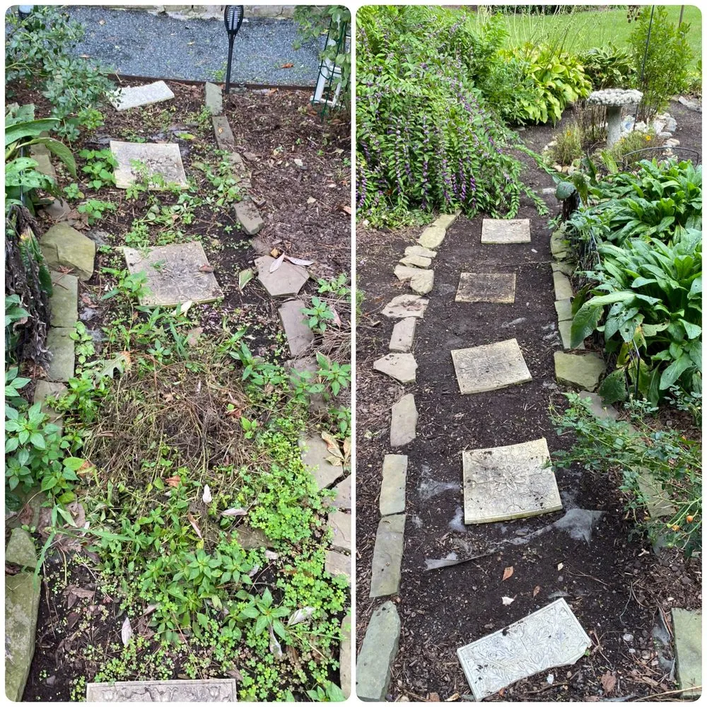 Expert lawn mowing service experts serving Norfolk, VA - Mercado Landscaping