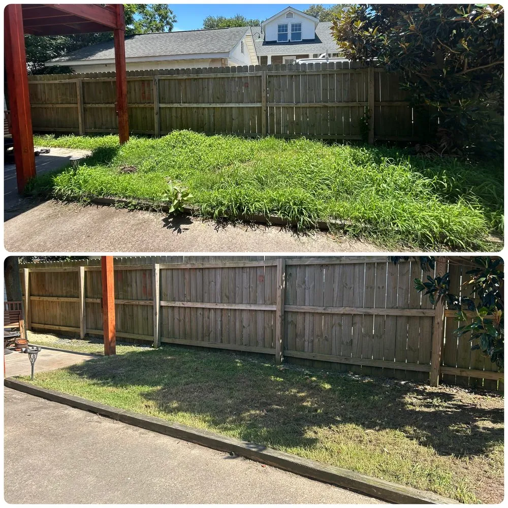 Professional yard cleanup service in Norfolk, VA by Mercado Landscaping