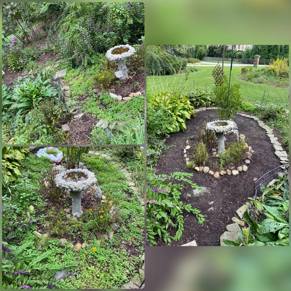 Affordable lawn care service experts serving Norfolk, VA - Mercado Landscaping