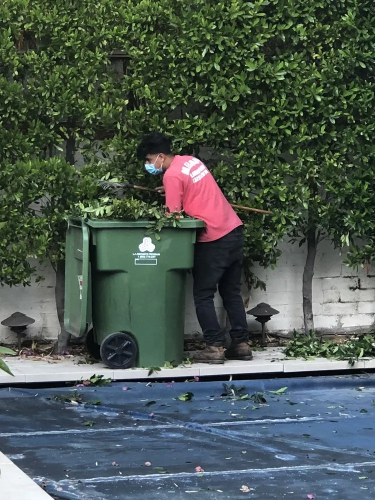 Expert outdoor landscaping experts serving West Hollywood, CA - Mercado Landscaping