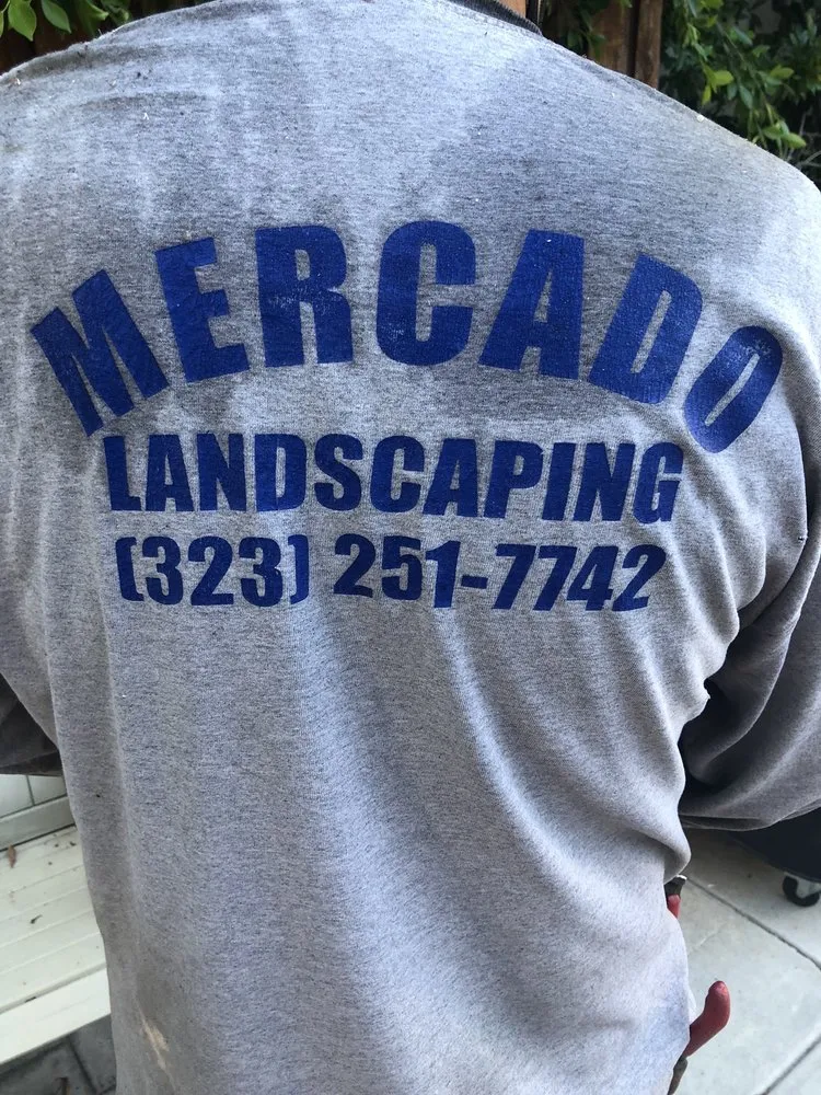 Expert yard maintenance in West Hollywood, CA - Mercado Landscaping
