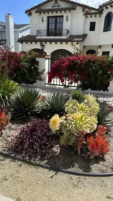 Mercado Landscaping