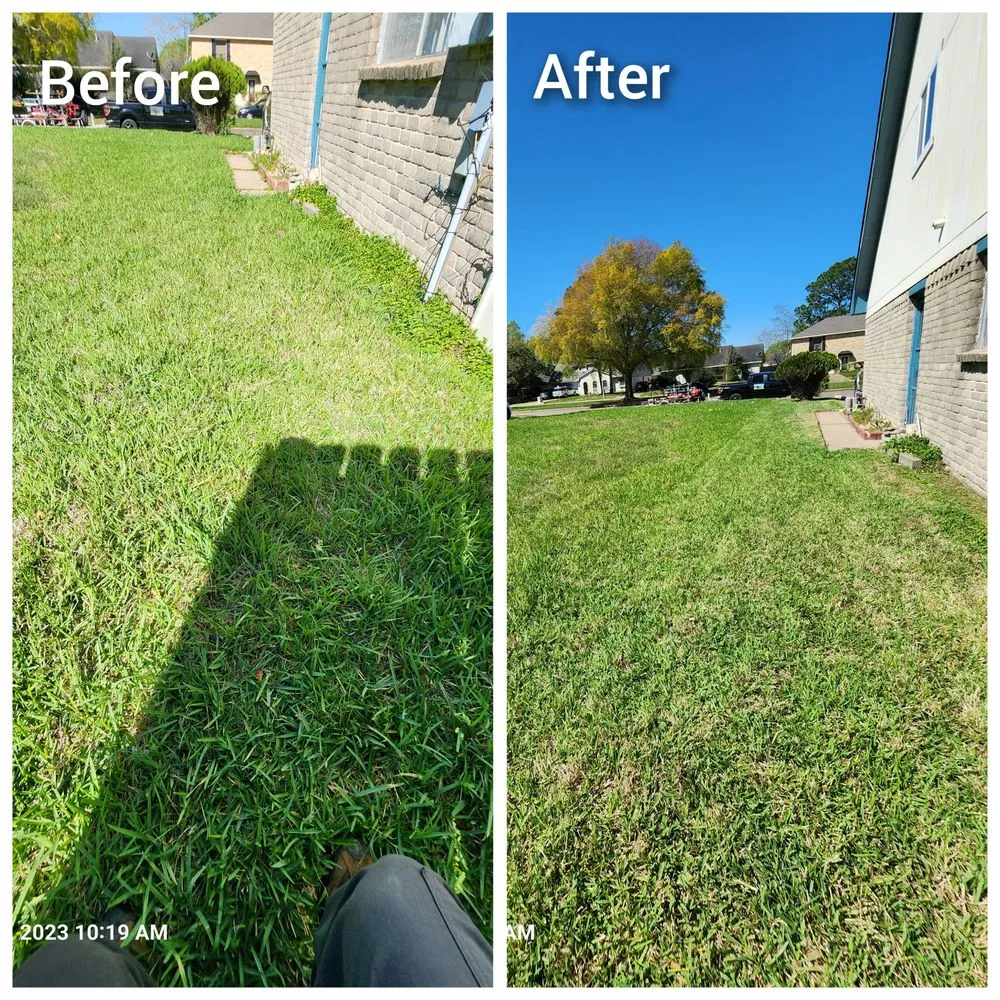 Local outdoor landscaping with custom design in Houston, TX by Mercado Mowers