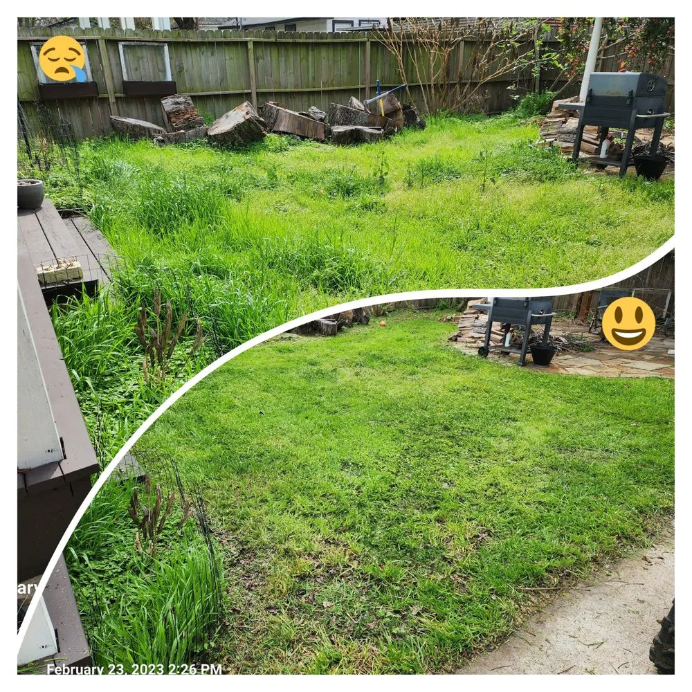 Top-rated landscape installation experts serving Houston, TX - Mercado Mowers