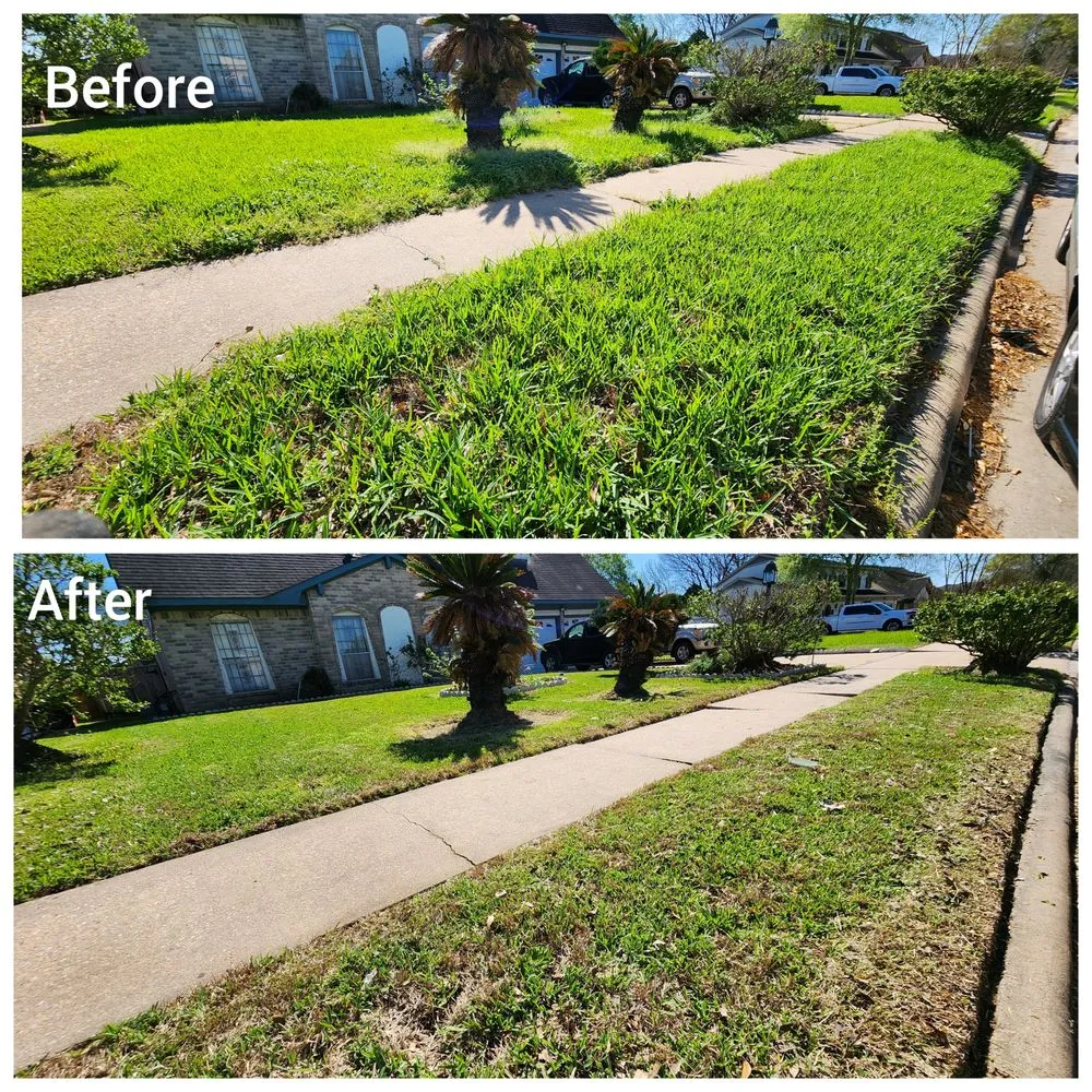 Local garden landscaping in Houston, TX - Mercado Mowers